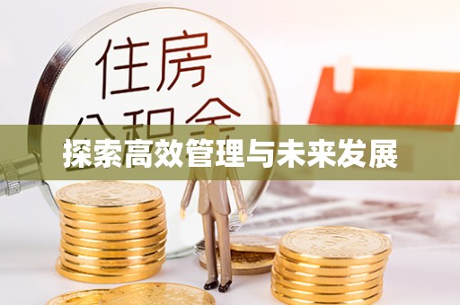 灵宝探索高效管理与未来发展