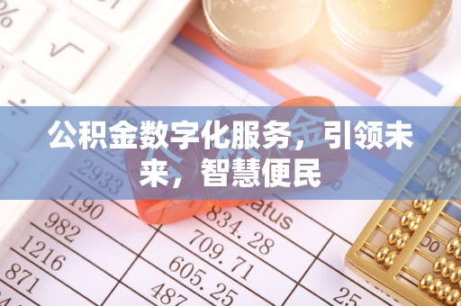 灵宝公积金数字化服务，引领未来，智慧便民