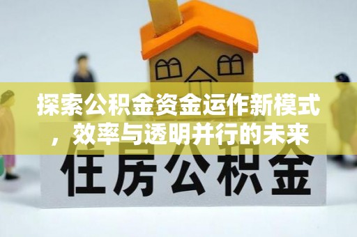 灵宝探索公积金资金运作新模式，效率与透明并行的未来