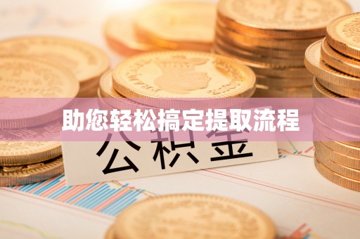 灵宝助您轻松搞定提取流程