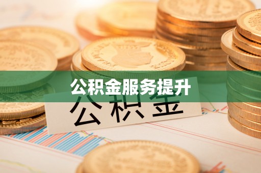 灵宝公积金服务提升