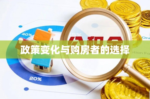 灵宝政策变化与购房者的选择
