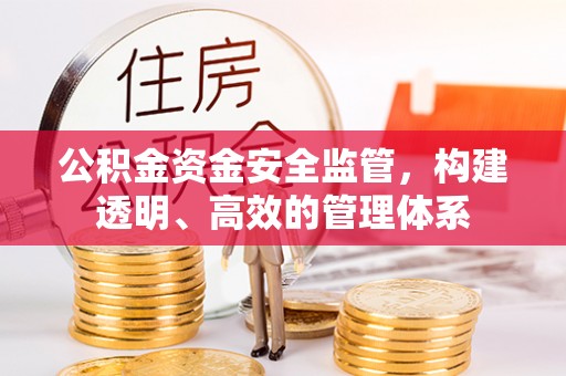 灵宝公积金资金安全监管，构建透明、高效的管理体系