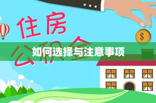 灵宝如何选择与注意事项