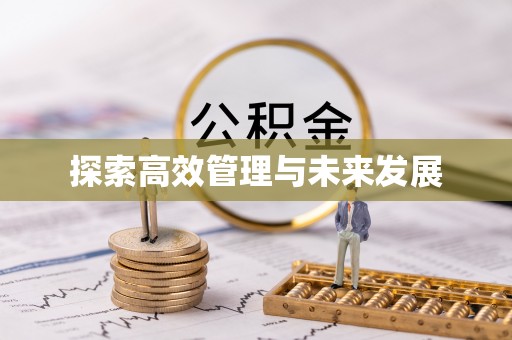 灵宝探索高效管理与未来发展