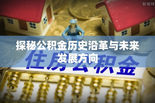 灵宝探秘公积金历史沿革与未来发展方向