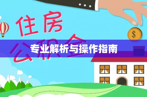 灵宝专业解析与操作指南