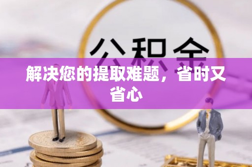 灵宝解决您的提取难题，省时又省心