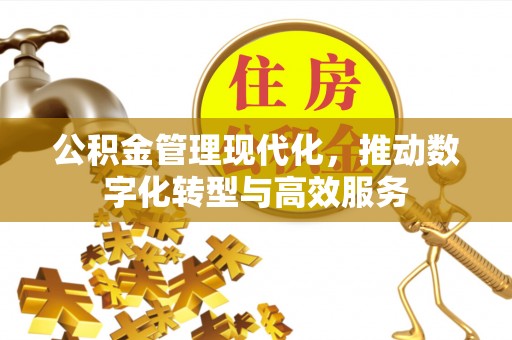 灵宝公积金管理现代化，推动数字化转型与高效服务