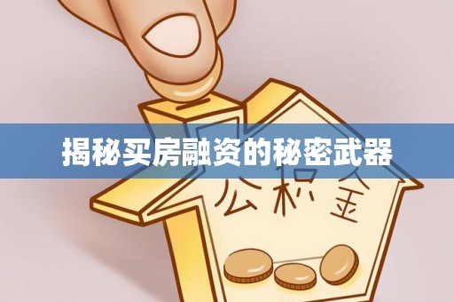 灵宝揭秘买房融资的秘密武器