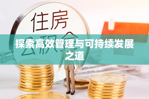 灵宝探索高效管理与可持续发展之道