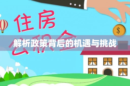 灵宝解析政策背后的机遇与挑战
