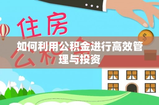 灵宝如何利用公积金进行高效管理与投资