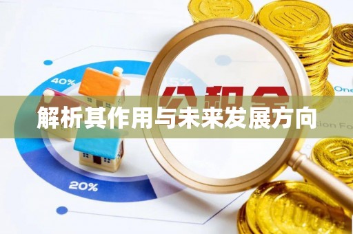 灵宝解析其作用与未来发展方向